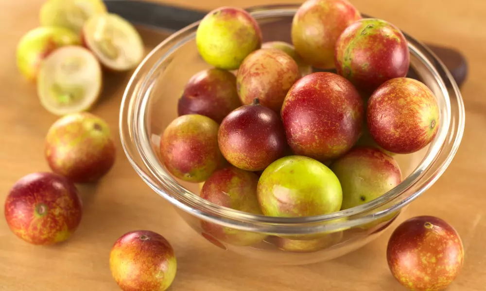 Descubriendo el Camu Camu: Un Tesoro Nutricional para tu Bienestar